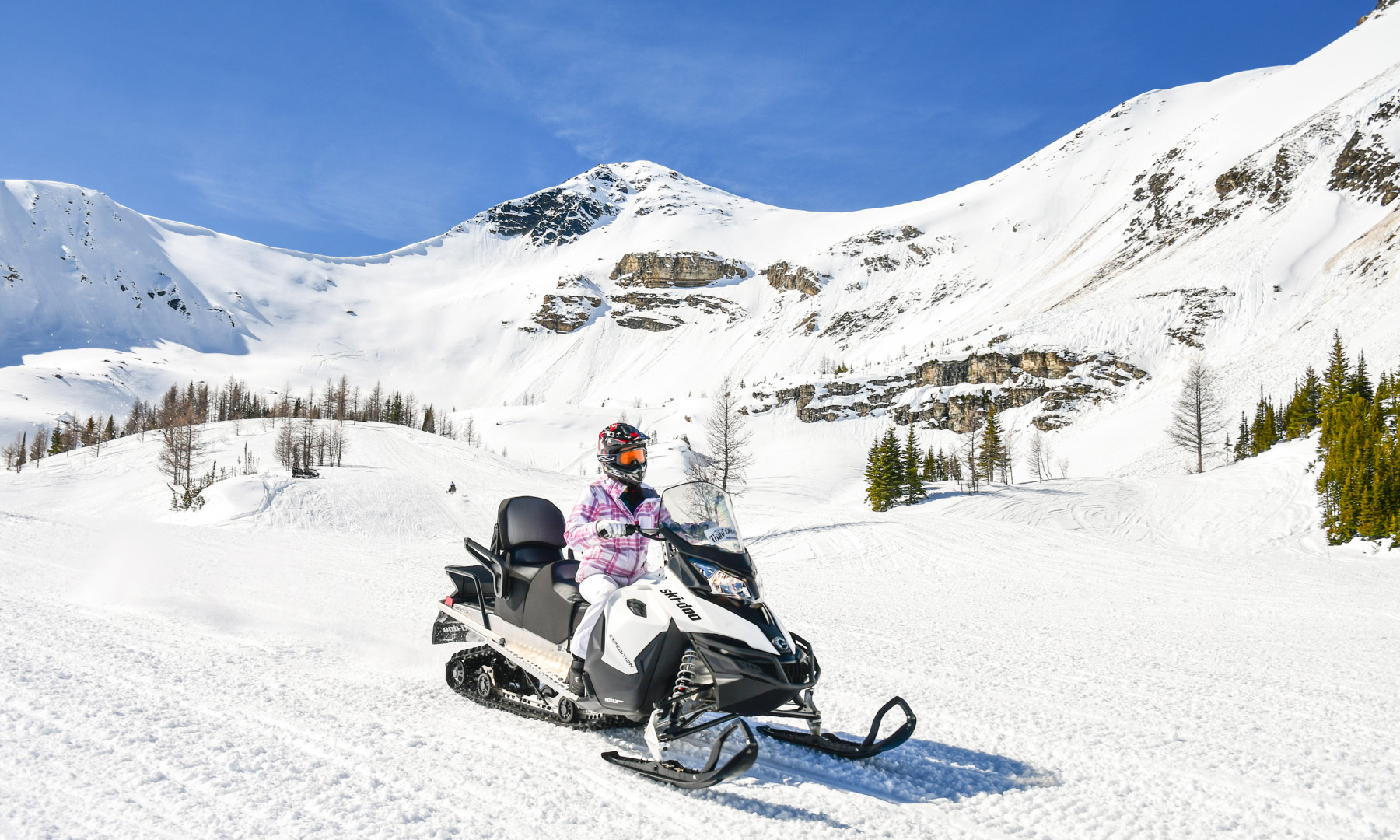 Basin Lady Driver